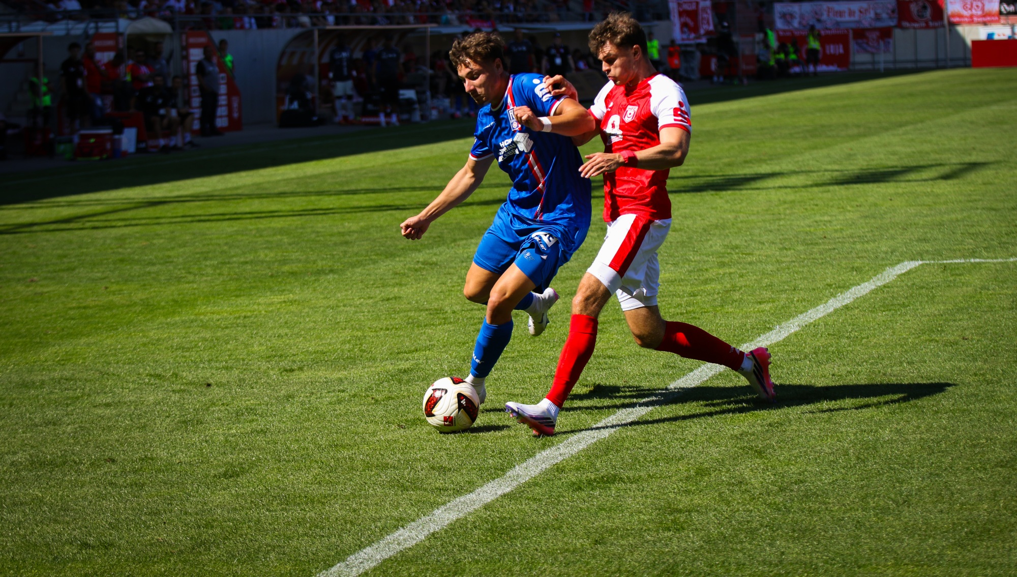 3Y9A7332-2.jpg