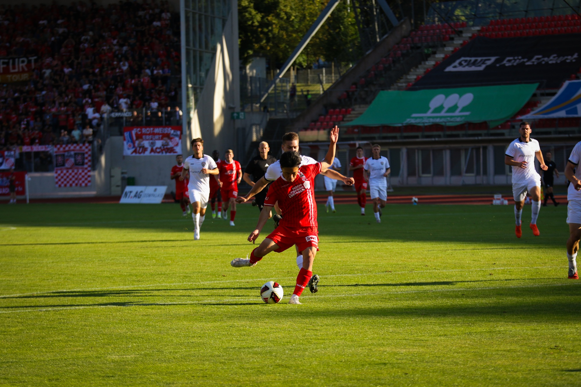 3Y9A8577-2.jpg