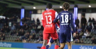 Spieltagsinformationen: FC Rot-Weiß Erfurt - Hertha BSC II