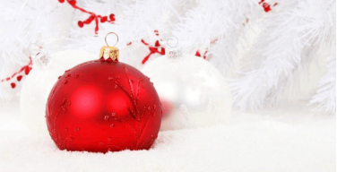 Weihnachtsgruß der Gremienvertreter*innen des FC Rot-Weiß Erfurt e.V.