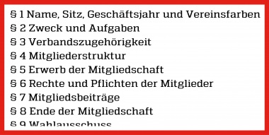 Satzungskommission legt ihren finalen Vorschlag für die neue Satzung vor